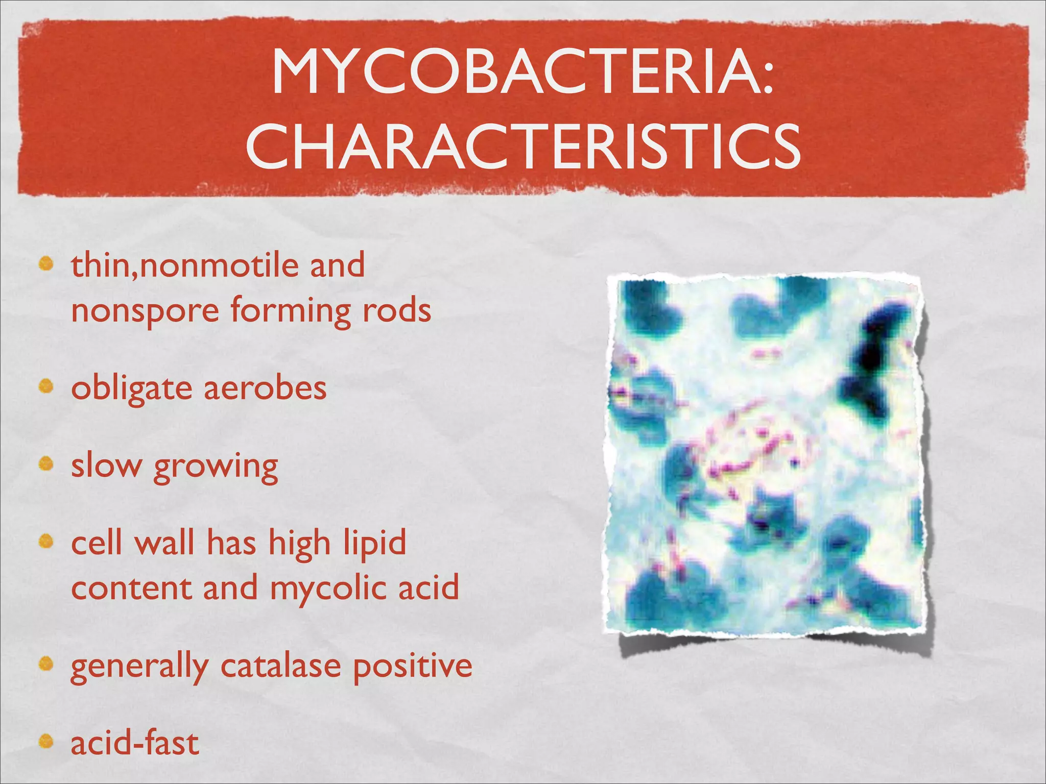 MYCOBACTERIA:
            CHARACTERISTICS
thin,nonmotile and
nonspore forming rods

obligate aerobes

slow growing

cell wall has high lipid
content and mycolic acid

generally catalase positive

acid-fast
 