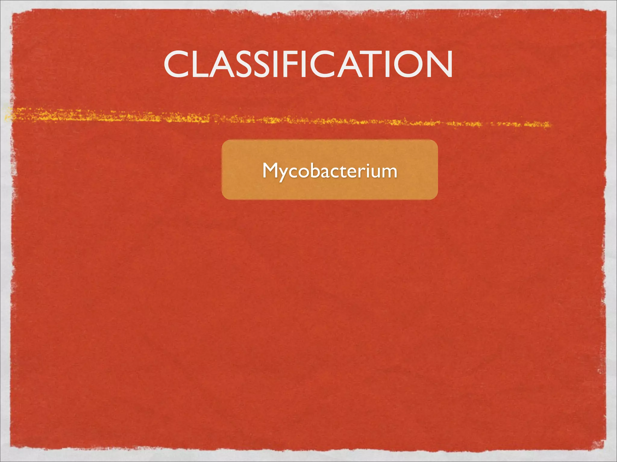 CLASSIFICATION

    Mycobacterium
 