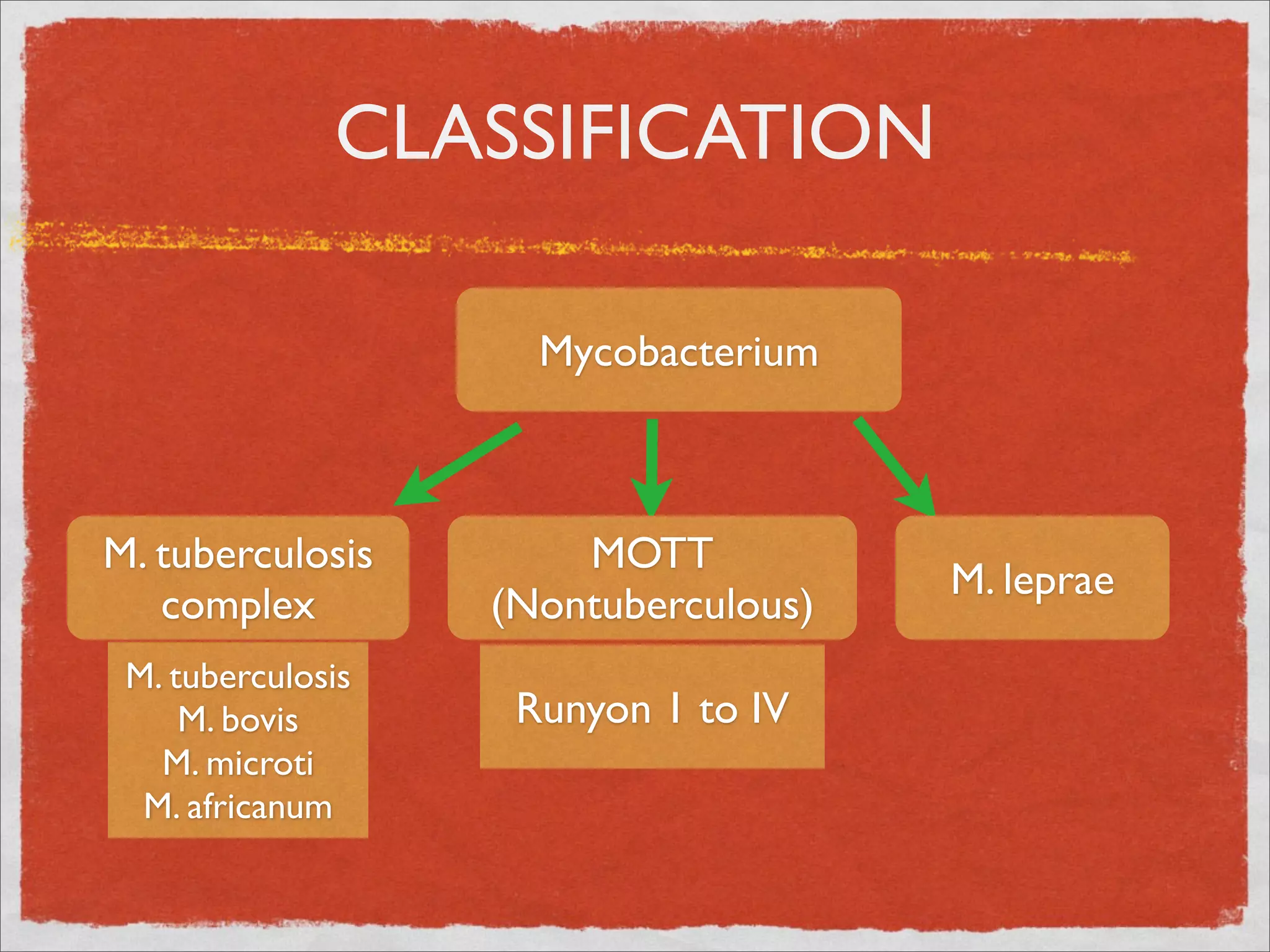 CLASSIFICATION

                     Mycobacterium



M. tuberculosis        MOTT
                                      M. leprae
   complex         (Nontuberculous)
 M. tuberculosis
     M. bovis       Runyon 1 to IV
   M. microti
  M. africanum
 