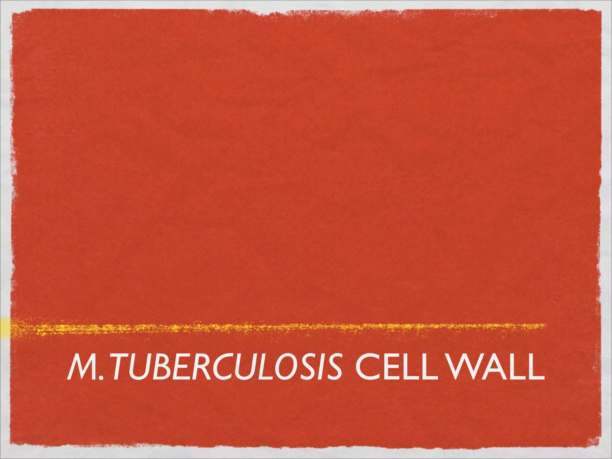 M. TUBERCULOSIS CELL WALL
 