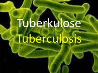 TuberkuloseTuberculosis 