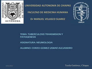 UNIVERSIDAD AUTONOMA DE CHIAPAS

                  FACULTAD DE MEDICINA HUMANA

                    Dr MANUEL VELASCO SUAREZ




             TEMA: TUBERCULOSIS TRANSMISION Y
             PATOGENESIS

             ASIGNATURA: NEUMOLOGIA

             ALUMNO: CORZO GOMEZ USMAR ALEJANDRO




19/01/2013                                      Tuxtla Gutiérrez, Chiapas
 