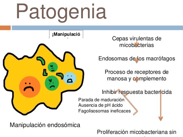 Mecanismo De Patogenicidad De Mycobacterium Tuberculosis