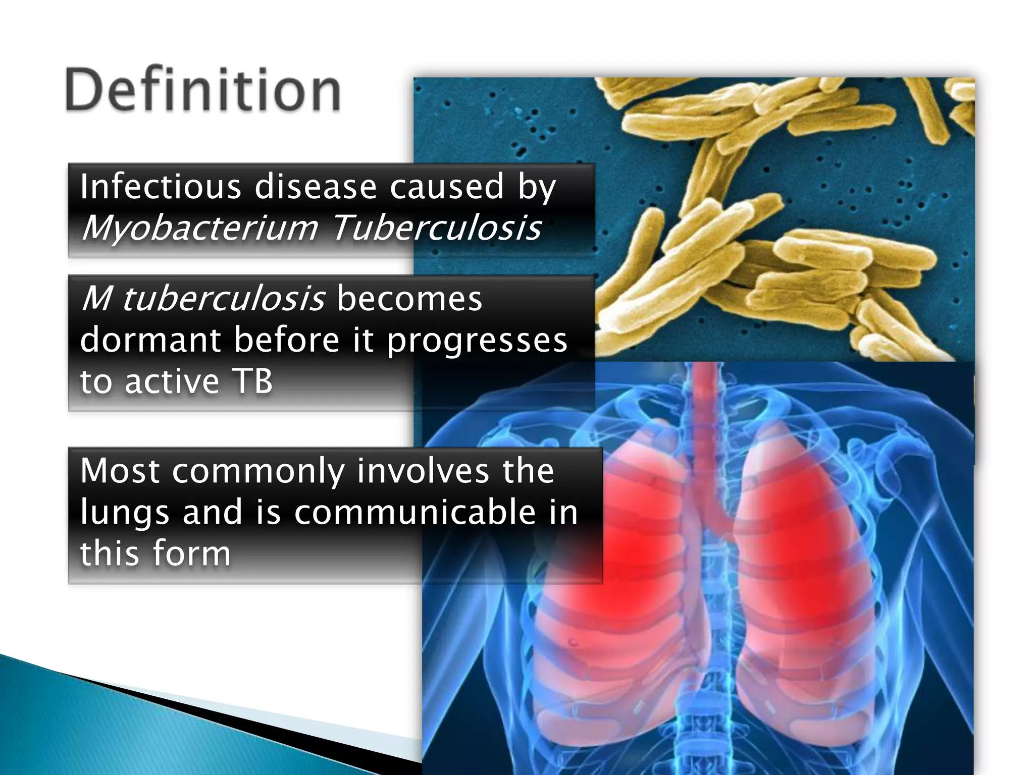 Tuberculosis Pathogenesis | PPTX