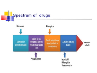 Spectrum of  drugs
 