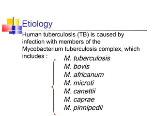 M. tuberculosis
M. bovis
M. africanum
M. microti
M. canettii
M. caprae
M. pinnipedii
Etiology
Human tuberculosis (TB) is caused by
infection with members of the
Mycobacterium tuberculosis complex, which
includes :
 