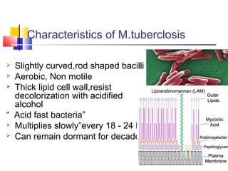 Characteristics of M.tuberclosis
 Slightly curved,rod shaped bacilli
 Aerobic, Non motile
 Thick lipid cell wall,resist
decolorization with acidified
alcohol
“ Acid fast bacteria”
 Multiplies slowly”every 18 - 24 hrs”
 Can remain dormant for decades
 