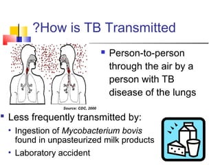  Person-to-person
through the air by a
person with TB
disease of the lungs
 Less frequently transmitted by:
• Ingestion of Mycobacterium bovis
found in unpasteurized milk products
• Laboratory accident
How is TB Transmitted?
Source: CDC, 2000
 