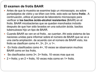 El examen de frotis BAAR
 Antes de que la muestra se examine bajo un microscopio, es sobre
portaobjetos de vidrio y se tiñen con tinte. esto esto se llama frotis . A
continuación, utilice el personal de laboratorio microscopio para
verificar si los bacilos ácido-alcohol resistentes (BAAR) en el
frotis. BAAR micobacterias que se quedan manchados incluido
después de que han sido lavados en una solución ácida. bacilos
tuberculosos hijo un tipo de BAAR.
 Cuando BAAR se ven en el frotis , se cuentan. Ahi esta sistema de las
naciones unidas para informar sobre el número de BAAR que se ve a
una cierta ampliación. de acuerdo con el número de BAAR visto, los
frotis se clasifican como 4+, 3+, 2+, o 1+.
 En frotis clasificados como 4+, 10 veces se observaron muchos
BAAR como en los frotis.
 Se clasificados como 3+; 3+ frotis, 10 veces mas que es
 2 + frotis; y en 2 + frotis, 10 veces más como en 1+ frotis.
 