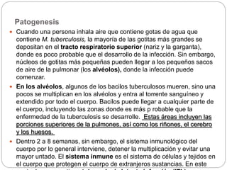 Patogenesis
 Cuando una persona inhala aire que contiene gotas de agua que
contiene M. tuberculosis, la mayoría de las gotitas más grandes se
depositan en el tracto respiratorio superior (nariz y la garganta),
donde es poco probable que el desarrollo de la infección. Sin embargo,
núcleos de gotitas más pequeñas pueden llegar a los pequeños sacos
de aire de la pulmonar (los alvéolos), donde la infección puede
comenzar.
 En los alvéolos, algunos de los bacilos tuberculosos mueren, sino una
pocos se multiplican en los alvéolos y entra al torrente sanguíneo y
extendido por todo el cuerpo. Bacilos puede llegar a cualquier parte de
el cuerpo, incluyendo las zonas donde es más p robable que la
enfermedad de la tuberculosis se desarrolle. Estas áreas incluyen las
porciones superiores de la pulmones, así como los riñones, el cerebro
y los huesos.
 Dentro 2 a 8 semanas, sin embargo, el sistema inmunológico del
cuerpo por lo general interviene, detener la multiplicación y evitar una
mayor untado. El sistema inmune es el sistema de células y tejidos en
el cuerpo que protegen el cuerpo de extranjeros sustancias. En este
 