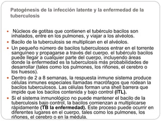 Patogénesis de la infección latente y la enfermedad de la
tuberculosis
 Núcleos de gotitas que contienen el tubérculo bacilos son
inhalados, entre en los pulmones, y viajar a los alvéolos.
 Bacilo de la tuberculosis se multiplican en el alvéolos.
 Un pequeño número de bacilos tuberculosos entrar en el torrente
sanguíneo y propagarse a través del cuerpo. el tubérculo bacilos
puede llegar a cualquier parte del cuerpo, incluyendo áreas
donde la enfermedad es la tuberculosis más probabilidades de
desarrollar (tales como los pulmones, los riñones, el cerebro o
los huesos).
 Dentro de 2 a 8 semanas, la respuesta inmune sistema produce
células inmunes especiales llamadas macrófagos que rodean la
bacilos tuberculosos. Las células forman una shell barrera que
impide que los bacilos contenida y bajo control (ITL).
 Si el sistema inmunológico no puede mantener el bacilo de la
tuberculosis bajo control, la bacilos comienzan a multiplicarse
rápidamente (TB la enfermedad). Este proceso puede ocurrir en
diferentes lugares en el cuerpo, tales como los pulmones, los
riñones, el cerebro o en la médula.
 