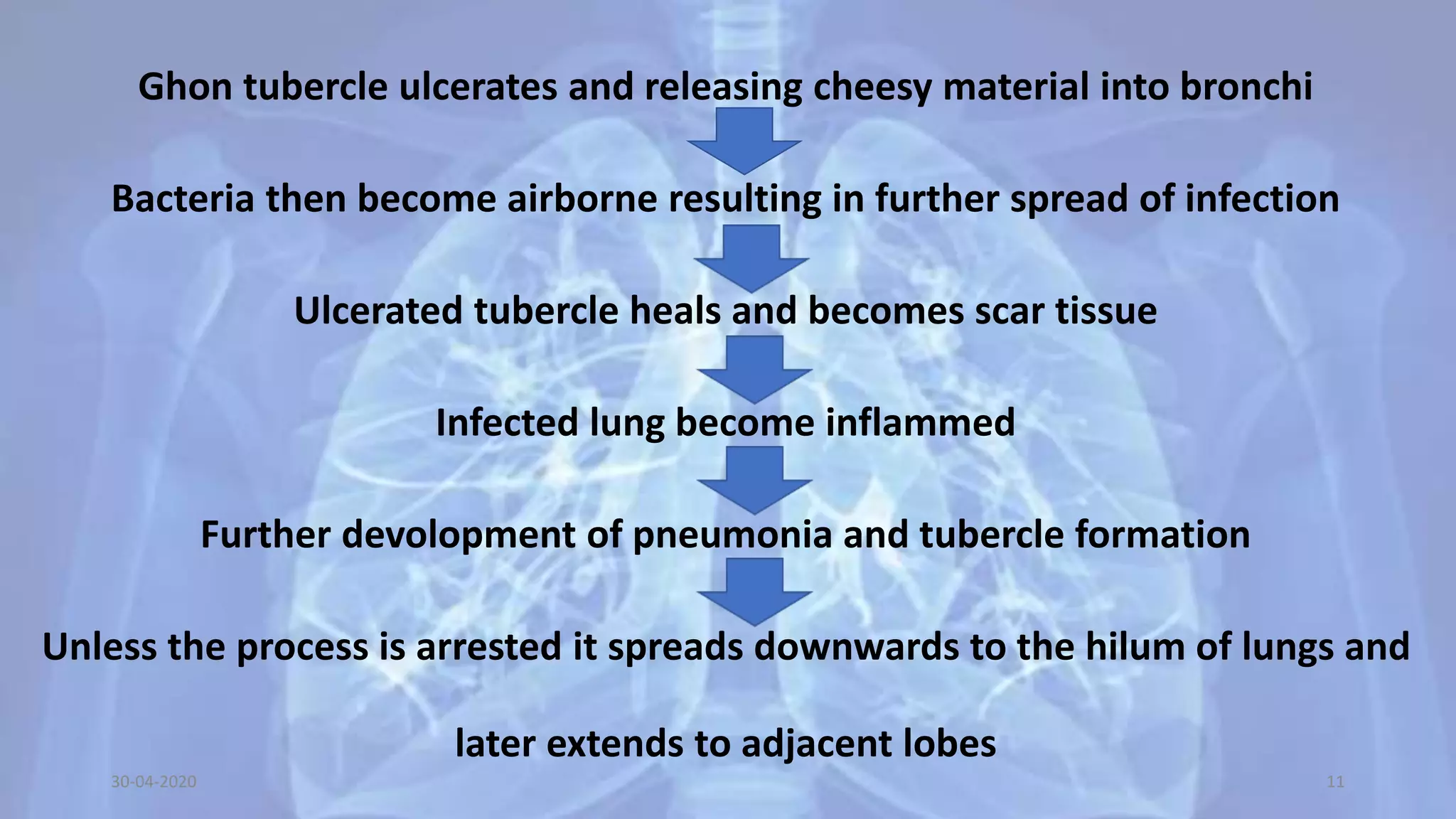 Ghon tubercle ulcerates and releasing cheesy material into bronchi
Bacteria then become airborne resulting in further spread of infection
Ulcerated tubercle heals and becomes scar tissue
Infected lung become inflammed
Further devolopment of pneumonia and tubercle formation
Unless the process is arrested it spreads downwards to the hilum of lungs and
later extends to adjacent lobes
30-04-2020 11
 