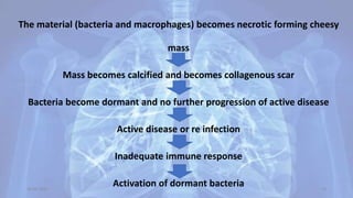 The material (bacteria and macrophages) becomes necrotic forming cheesy
mass
Mass becomes calcified and becomes collagenous scar
Bacteria become dormant and no further progression of active disease
Active disease or re infection
Inadequate immune response
Activation of dormant bacteria30-04-2020 10
 