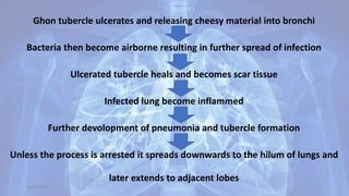 Ghon tubercle ulcerates and releasing cheesy material into bronchi
Bacteria then become airborne resulting in further spread of infection
Ulcerated tubercle heals and becomes scar tissue
Infected lung become inflammed
Further devolopment of pneumonia and tubercle formation
Unless the process is arrested it spreads downwards to the hilum of lungs and
later extends to adjacent lobes
30-04-2020 11
 