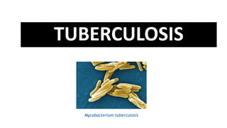 TUBERCULOSIS
Mycobacterium tuberculosis
 