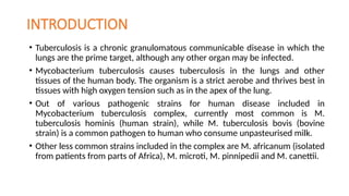 INTRODUCTION
• Tuberculosis is a chronic granulomatous communicable disease in which the
lungs are the prime target, although any other organ may be infected.
• Mycobacterium tuberculosis causes tuberculosis in the lungs and other
tissues of the human body. The organism is a strict aerobe and thrives best in
tissues with high oxygen tension such as in the apex of the lung.
• Out of various pathogenic strains for human disease included in
Mycobacterium tuberculosis complex, currently most common is M.
tuberculosis hominis (human strain), while M. tuberculosis bovis (bovine
strain) is a common pathogen to human who consume unpasteurised milk.
• Other less common strains included in the complex are M. africanum (isolated
from patients from parts of Africa), M. microti, M. pinnipedii and M. canettii.
 