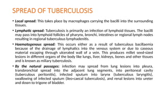 SPREAD OF TUBERCULOSIS
• Local spread: This takes place by macrophages carrying the bacilli into the surrounding
tissues.
• Lymphatic spread: Tuberculosis is primarily an infection of lymphoid tissues. The bacilli
may pass into lymphoid follicles of pharynx, bronchi, intestines or regional lymph nodes
resulting in regional tuberculous lymphadenitis.
• Haematogenous spread: This occurs either as a result of tuberculous bacillaemia
because of the drainage of lymphatics into the venous system or due to caseous
material escaping through ulcerated wall of a vein. This produces millet seed-sized
lesions in different organs of the body like lungs, liver, kidneys, bones and other tissues
and is known as miliary tuberculosis.
• By the natural passages: infection may spread from lung lesions into pleura,
transbronchial spread into the adjacent lung segments, into peritoneal cavity
(tuberculous peritonitis), infected sputum into larynx (tuberculous laryngitis),
swallowing of infected sputum (ileo-caecal tuberculosis), and renal lesions into ureter
and down to trigone of bladder.
 