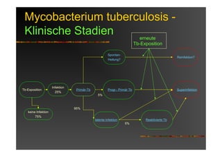 Mycobacterium tuberculosis -
Klinische Stadien
Tb-Exposition
Infektion
25%
Spontan-
Heilung?
Superinfektion
Reinfektion?
keine Infektion
75%
Reaktivierte Tb
erneute
Tb-Exposition
latente Infektion
Progr.- Primär TbPrimär-Tb
5%
5%
95%
 