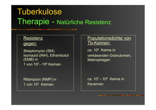 Tuberkulose
Therapie - Natürliche Resistenz
Resistenz
gegen:
Streptomycin (SM),
Isoniazid (INH), Ethambutol
(EMB) in
1 von 105 - 106 Keimen
Rifampicin (RMP) in
1 von 107 Keimen
Populationsdichte von
Tb-Keimen:
ca. 105 Keime in
verkäsenden Granulomen,
Makrophagen
ca. 107 - 109 Keime in
Kavernen
 