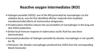 H2o2 Immune Tb - pathogenesis, immunohhhhhlogy.pptx