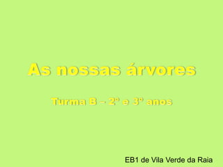 As nossas árvores Turma B – 2º e 3º anos EB1 de Vila Verde da Raia 