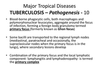 Major Tropical Diseases
TUBERCULOSIS – Pathogenesis - 10
• Blood-borne phagocytic cells, both macrophages and
polymorphonu...