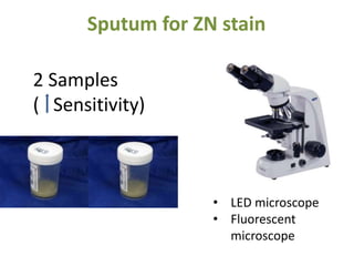 Sputum for ZN stain
2 Samples
( Sensitivity)
• LED microscope
• Fluorescent
microscope
 