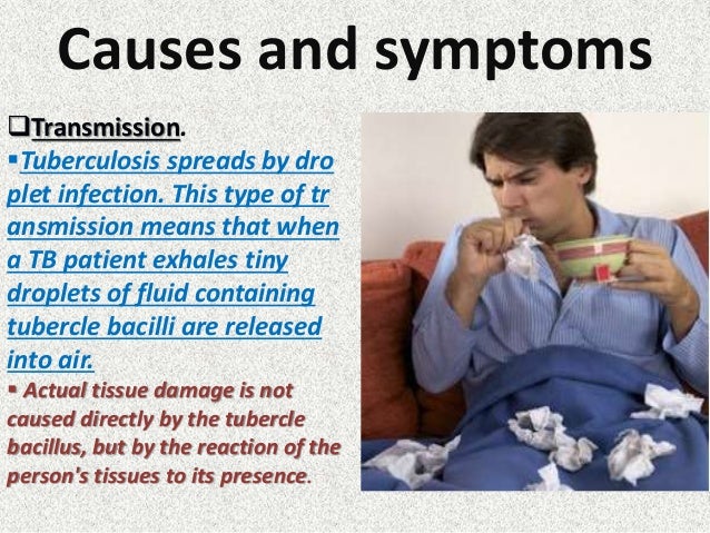 Tuberculosis... a brife description about it