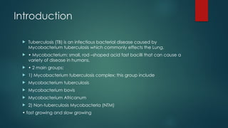 TB A Detailed Presentation On Tuberculosis And Its Drugs | PPTX