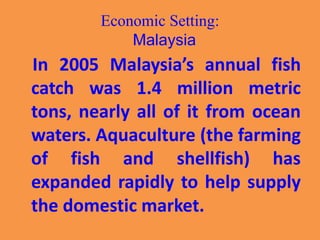 Economic Setting:
Malaysia
In 2005 Malaysia’s annual fish
catch was 1.4 million metric
tons, nearly all of it from ocean
waters. Aquaculture (the farming
of fish and shellfish) has
expanded rapidly to help supply
the domestic market.
 