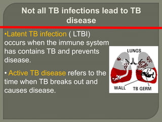 Not all TB infections lead to TB
disease
•Latent TB infection ( LTBI)
occurs when the immune system
has contains TB and prevents
disease.
• Active TB disease refers to the
time when TB breaks out and
causes disease.
 
