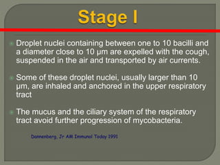  Droplet nuclei containing between one to 10 bacilli and
a diameter close to 10 μm are expelled with the cough,
suspended in the air and transported by air currents.
 Some of these droplet nuclei, usually larger than 10
μm, are inhaled and anchored in the upper respiratory
tract
 The mucus and the ciliary system of the respiratory
tract avoid further progression of mycobacteria.
Dannenberg, Jr AM Immunol Today 1991
 
