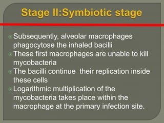 Subsequently, alveolar macrophages
phagocytose the inhaled bacilli
These first macrophages are unable to kill
mycobacteria
The bacilli continue their replication inside
these cells
Logarithmic multiplication of the
mycobacteria takes place within the
macrophage at the primary infection site.
 