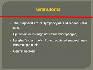 Granuloma
• The prepheral rim of lymphocytes and mononuclear
cells.
• Epithelioid cells (large activated macrophages)
• Langhan's giant cells. Fused actviated macrophages
with multiple nuclei
• Central necrosis.
 