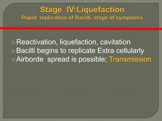 Reactivation, liquefaction, cavitation
Bacilli begins to replicate Extra cellularly
Airborde spread is possible; Transmission
 