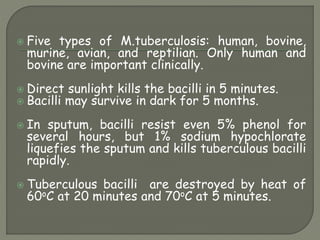  Five types of M.tuberculosis: human, bovine,
murine, avian, and reptilian. Only human and
bovine are important clinically.
 Direct sunlight kills the bacilli in 5 minutes.
 Bacilli may survive in dark for 5 months.
 In sputum, bacilli resist even 5% phenol for
several hours, but 1% sodium hypochlorate
liquefies the sputum and kills tuberculous bacilli
rapidly.
 Tuberculous bacilli are destroyed by heat of
60oC at 20 minutes and 70oC at 5 minutes.
 