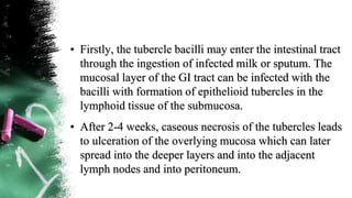 • Firstly, the tubercle bacilli may enter the intestinal tract
through the ingestion of infected milk or sputum. The
mucosal layer of the GI tract can be infected with the
bacilli with formation of epithelioid tubercles in the
lymphoid tissue of the submucosa.
• After 2-4 weeks, caseous necrosis of the tubercles leads
to ulceration of the overlying mucosa which can later
spread into the deeper layers and into the adjacent
lymph nodes and into peritoneum.
 