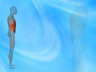 Tb abdomen or abdominal tuberculosis