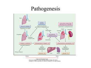 Pathogenesis
 