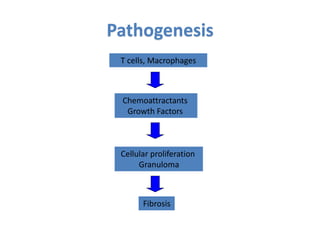 T cells, Macrophages
Chemoattractants
Growth Factors
Cellular proliferation
Granuloma
Fibrosis
Pathogenesis
 