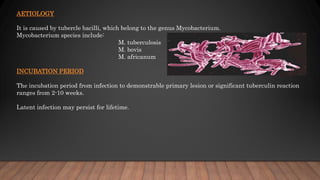 AETIOLOGY
It is caused by tubercle bacilli, which belong to the genus Mycobacterium.
Mycobacterium species include:
M. tub...