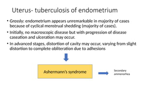 Uterus- tuberculosis of endometrium
• Grossly: endometrium appears unremarkable in majority of cases
because of cyclical menstrual shedding (majority of cases).
• Initially, no macroscopic disease but with progression of disease
caseation and ulceration may occur.
• In advanced stages, distortion of cavity may occur, varying from slight
distortion to complete obliteration due to adhesions
Ashermann’s syndrome Secondary
ammenorhea
 