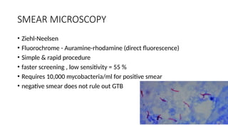 SMEAR MICROSCOPY
• Ziehl-Neelsen
• Fluorochrome - Auramine-rhodamine (direct fluorescence)
• Simple & rapid procedure
• faster screening , low sensitivity = 55 %
• Requires 10,000 mycobacteria/ml for positive smear
• negative smear does not rule out GTB
 