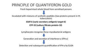 PRINCIPLE OF QUANTIFERON GOLD
Fresh heparinised whole blood from sensitised persons
Incubated with mixtures of synthetic peptides (two proteins present in M.
tuberculosis)
ESAT-6 (early secretory antigenic target-6)
CFP-10 (culture filtrate protein-10)
Lymphocytes recognize these mycobacterial antigens
Generation and secretion of interferon-γ (IFN-γ)
Detection and subsequent quantification of IFN-γ by ELISA
 
