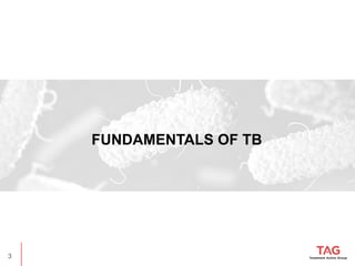 tb_basics_final_updated-03_2021_cm_designs.pptx