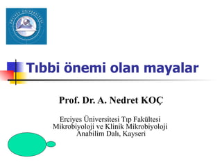 Tıbbi önemi olan mayalar

    Prof. Dr. A. Nedret KOÇ
    Erciyes Üniversitesi Tıp Fakültesi
   Mikrobiyoloji ve Klinik Mikrobiyoloji
          Anabilim Dalı, Kayseri
 