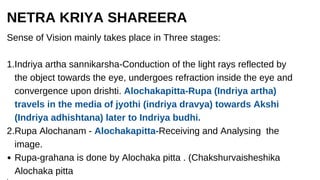 VISUAL_PATHWAY_(AYURVEDA_&MODERN)[1].key.pdf