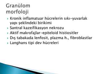    Kronik inflamatuar hücrelerin sıkı-yuvarlak
    yapı Ģeklindeki birikimi
   Santral kazeifikasyon nekrozu
   Aktif makrofajlar-epiteloid histiositler
   DıĢ tabakada lenfosit, plazma h., fibroblastlar
   Langhans tipi dev hücreleri
 