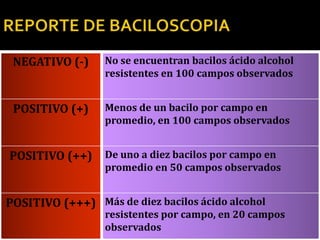 NEGATIVO (-)     No se encuentran bacilos ácido alcohol
                  resistentes en 100 campos observados


 POSITIVO (+)     Menos de un bacilo por campo en
                  promedio, en 100 campos observados


POSITIVO (++)     De uno a diez bacilos por campo en
                  promedio en 50 campos observados


POSITIVO (+++) Más de diez bacilos ácido alcohol
                  resistentes por campo, en 20 campos
                  observados
 