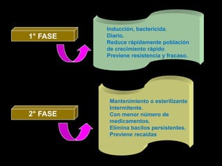 Inducción, bactericida.
1° FASE   Diario.
          Reduce rápidamente población
          de crecimiento rápido
          Previene resistencia y fracaso.




           Mantenimiento o esterilizante
           Intermitente.
2° FASE    Con menor número de
           medicamentos.
           Elimina bacilos persistentes.
           Previene recaídas
 